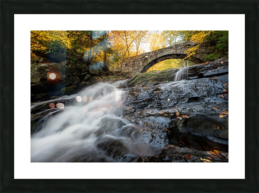 Vaughan Woods Picture Frame print