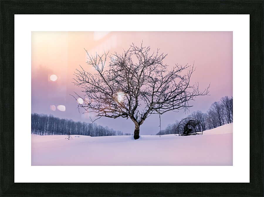 Winter Twilight Picture Frame print