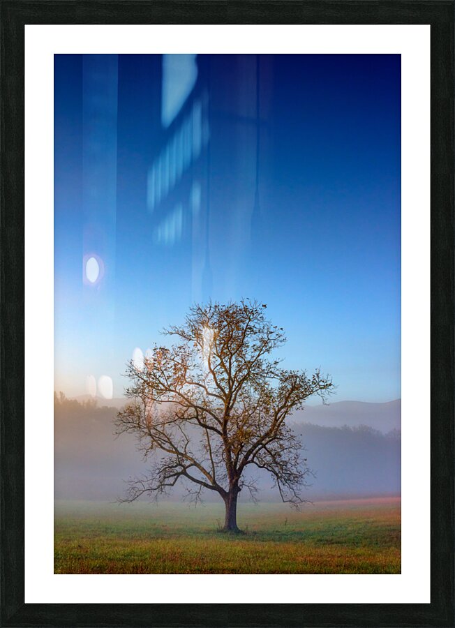 Autumn Glow Picture Frame print