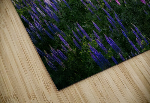 Springtime Symphony Rick Berk puzzle