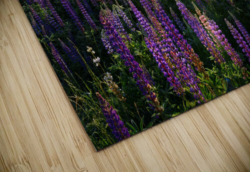 Spring Colors Rick Berk puzzle