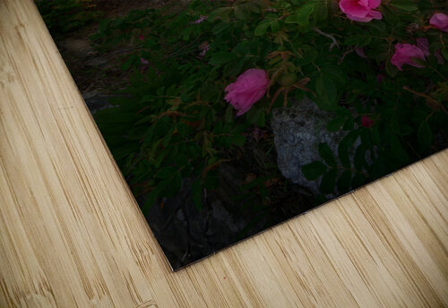 Twilight Bloom Rick Berk puzzle
