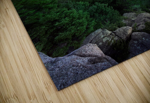 Nocturne Acadia Rick Berk puzzle