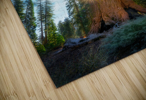 Grizzly Giant Rick Berk puzzle