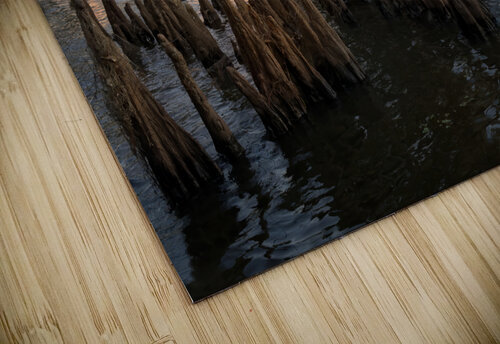 Cypress Shallows Rick Berk puzzle