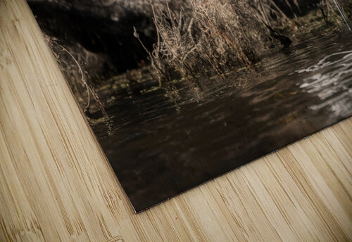 Snowy Egret Rick Berk puzzle