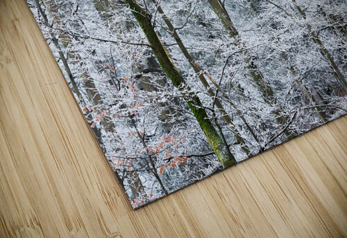 Crystallline Canopy Rick Berk puzzle
