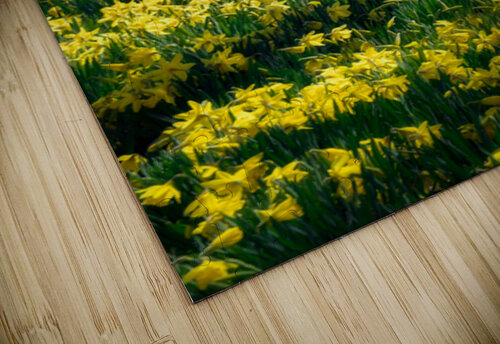 Echoes of Springtime Rick Berk puzzle