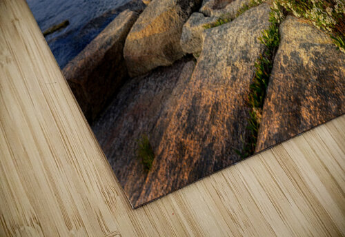 Springtime Acadia Rick Berk puzzle