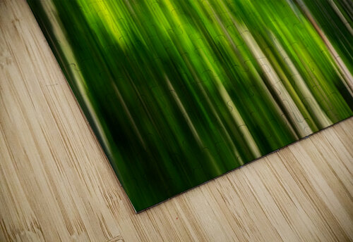 Spring Birches Abstract Rick Berk puzzle
