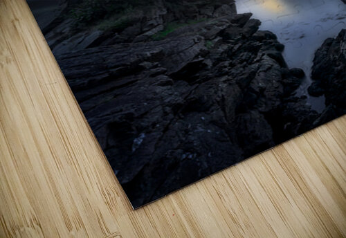 Downeast Nocturne Rick Berk puzzle