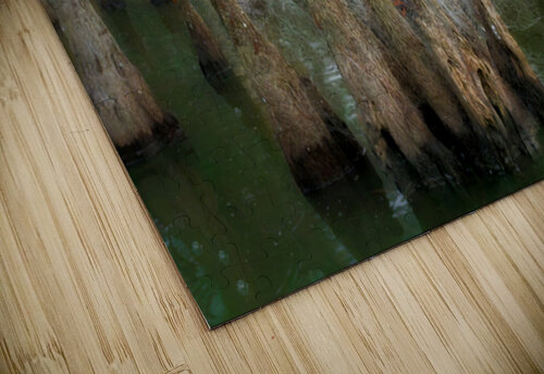 Bayou Lacework Rick Berk puzzle