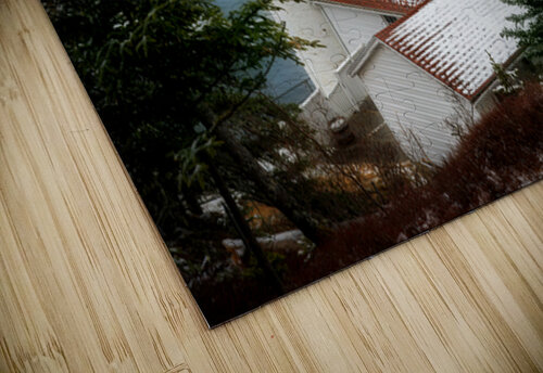 Winter Watch Rick Berk puzzle