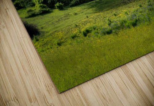 A Quiet Maine Springtime Rick Berk puzzle
