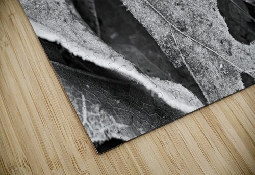 Frosted Oak Leaf Rick Berk puzzle