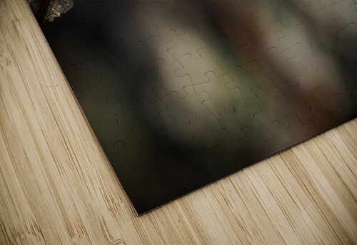 Frosty Wild Aster Rick Berk puzzle
