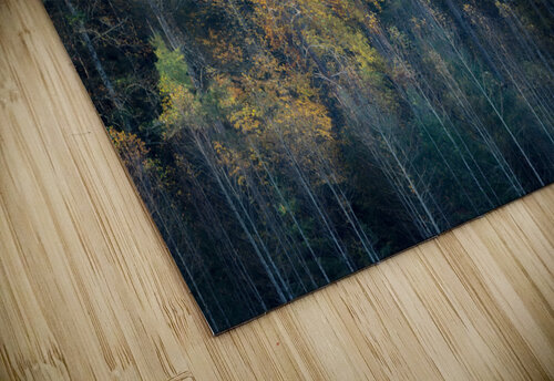 Stay Gold Rick Berk puzzle