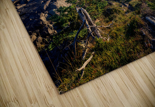 Hamilton Cove Rick Berk puzzle