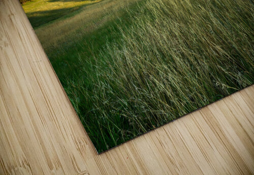 Devils Tower Rick Berk puzzle