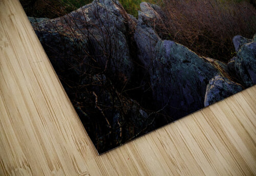 The Valley Beyond Rick Berk puzzle