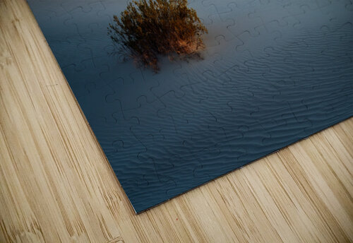 Mesquite Dunes Rick Berk puzzle