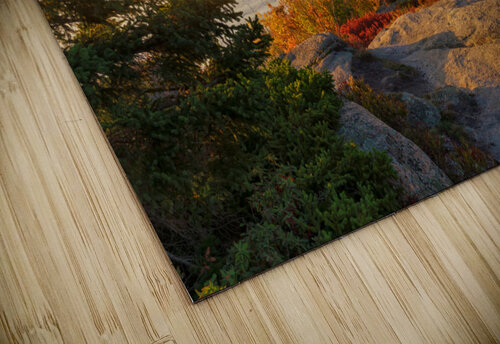 Gorham Mountain Autumn Rick Berk puzzle