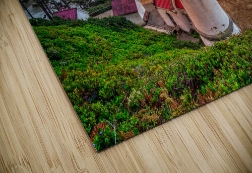 Heceta Head Lighthouse Rick Berk puzzle