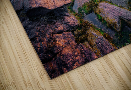 Daybreak at Two Lights Rick Berk puzzle