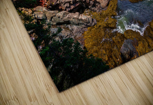 Cutler Coast II Rick Berk puzzle
