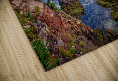 Cutler Coast III Rick Berk puzzle