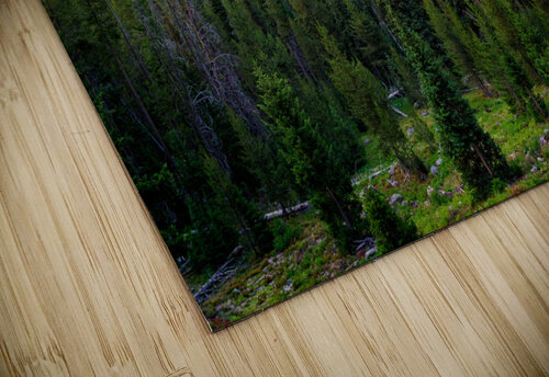 Sawtooth Ascending Rick Berk puzzle