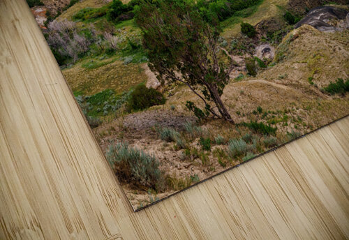 Oxbow Overlook Rick Berk puzzle