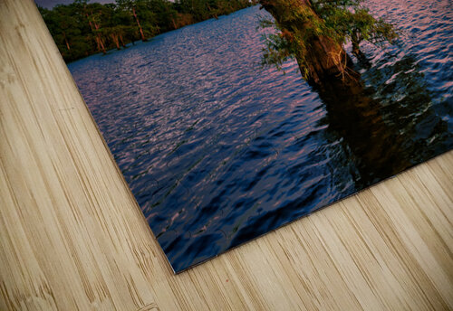 Bayou Twilight Rick Berk puzzle
