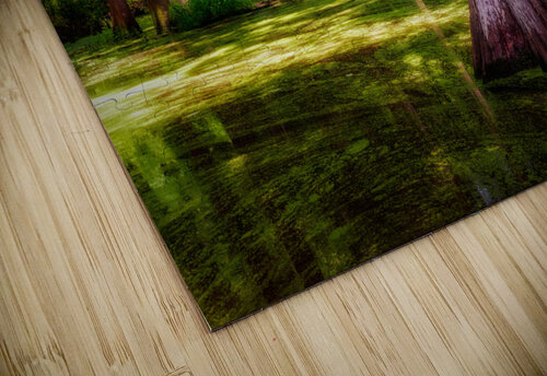 Spring in the Bayou Rick Berk puzzle