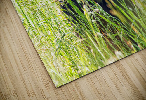 Im Hangry! Rick Berk puzzle
