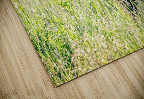 Black Bear Cub Rick Berk puzzle