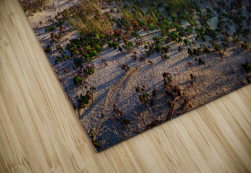 Sunset at Race Point Rick Berk puzzle