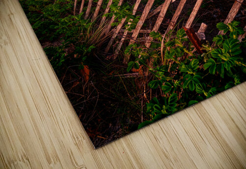 North Patrol Shack Rick Berk puzzle