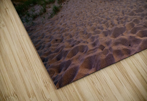 The Dune Shack III Rick Berk puzzle