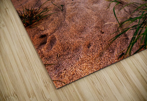 The Dune Shack II Rick Berk puzzle