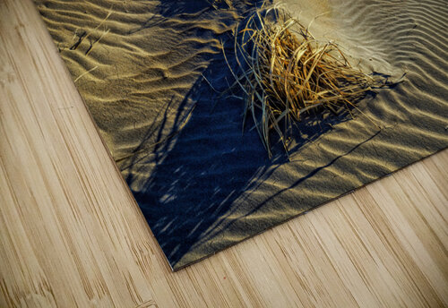 Popham Beach Rick Berk puzzle