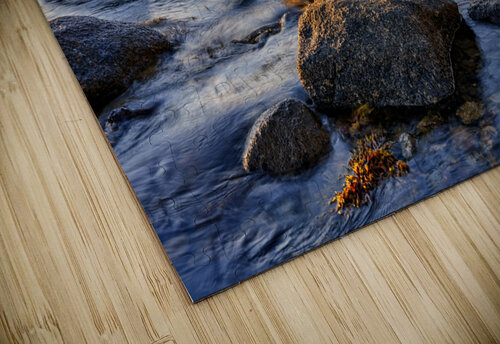 Smith Point Vinalhaven Rick Berk puzzle