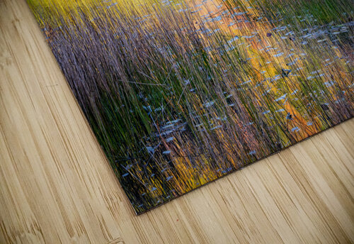 The Tarn Rick Berk puzzle