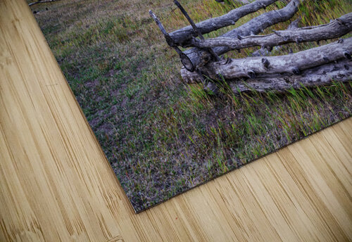 Mount Sneffels Rick Berk puzzle