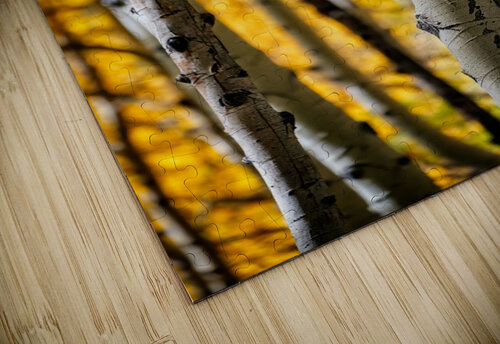 Aspenglow II Rick Berk puzzle
