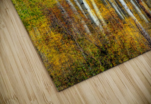 Aspenglow VI Rick Berk puzzle