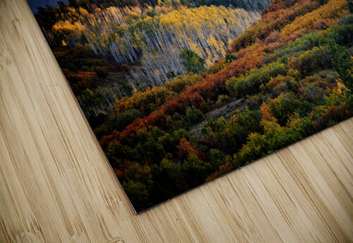 Dallas Divide Rick Berk puzzle