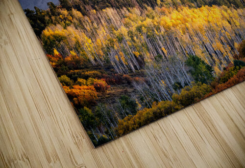 Mears Peak Rick Berk puzzle