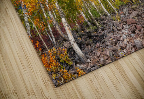Blue & Gold Rick Berk puzzle