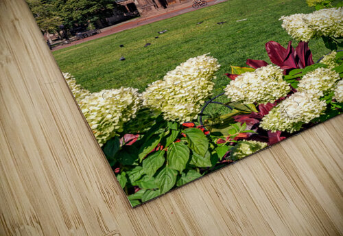 Trinity Church Rick Berk puzzle
